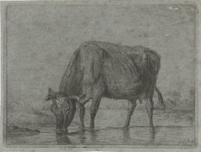 Vaca bebiendo de un charco de Jacobus Cornelis Gaal