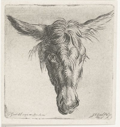 cabeza de burro de Jacobus Cornelis Gaal