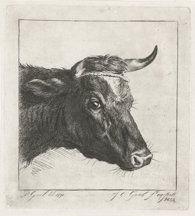 Cabeza de vaca con cuerda alrededor de los cuernos de Jacobus Cornelis Gaal
