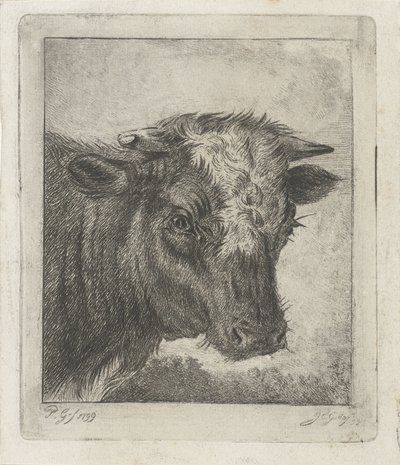 Cabeza de vaca con col blanca de Jacobus Cornelis Gaal