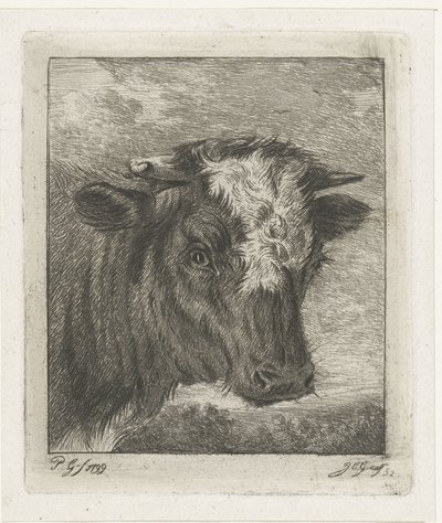 Cabeza de vaca con col blanca de Jacobus Cornelis Gaal