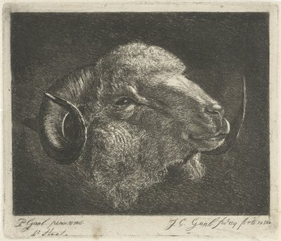Cabeza de carnero con cuernos hacia atrás de Jacobus Cornelis Gaal