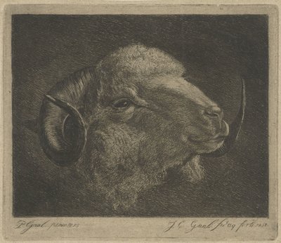 Cabeza de carnero con los cuernos hacia atrás de Jacobus Cornelis Gaal