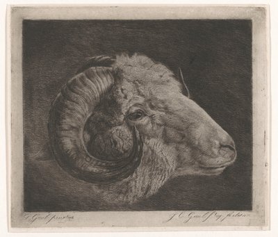 Cabeza de carnero con cuerno curvo hasta el ojo de Jacobus Cornelis Gaal