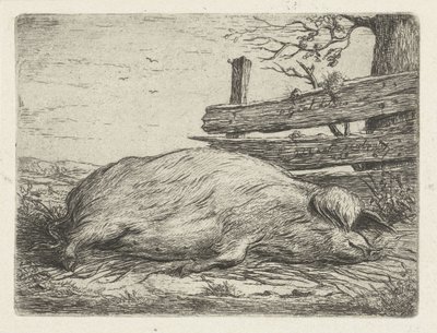 Jabalí mentiroso de Jacobus Cornelis Gaal