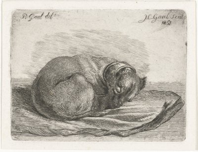 Perro durmiendo, acostado sobre una manta de Jacobus Cornelis Gaal