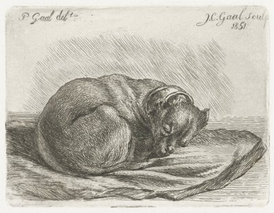 Perro durmiendo, acostado sobre una manta de Jacobus Cornelis Gaal