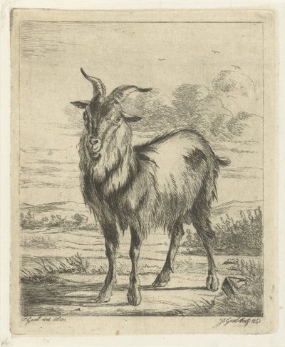 cabra de pie de Jacobus Cornelis Gaal