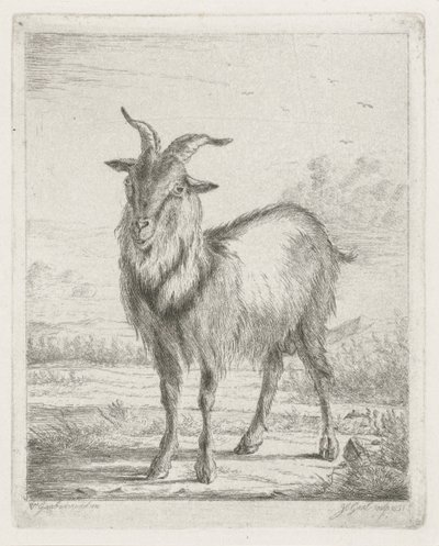 cabra de pie de Jacobus Cornelis Gaal
