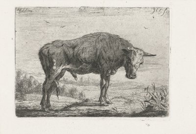 toro de pie de Jacobus Cornelis Gaal