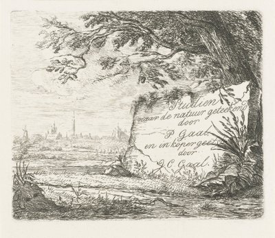 Imagen de título para: Estudios extraídos de la naturaleza de Jacobus Cornelis Gaal
