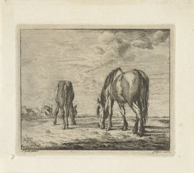 Dos caballos pastando de Jacobus Cornelis Gaal