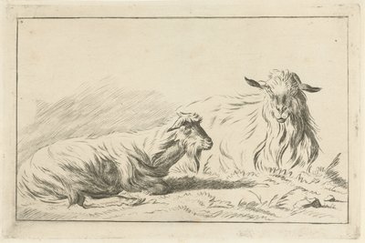 Dos cabras mentirosas de Jacobus Cornelis Gaal