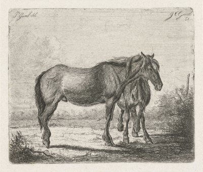 Dos caballos de Jacobus Cornelis Gaal
