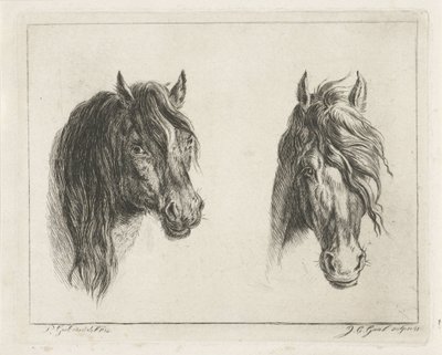dos cabezas de caballo de Jacobus Cornelis Gaal