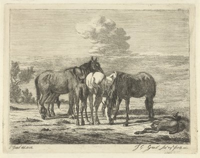 Cuatro caballos y dos potros de Jacobus Cornelis Gaal