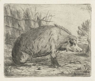 Jabalí sentado de Jacobus Cornelis Gaal