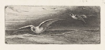 gaviotas de Jacobus Hermanus Otterbeek