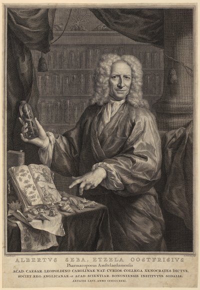  de Jacobus Houbraken