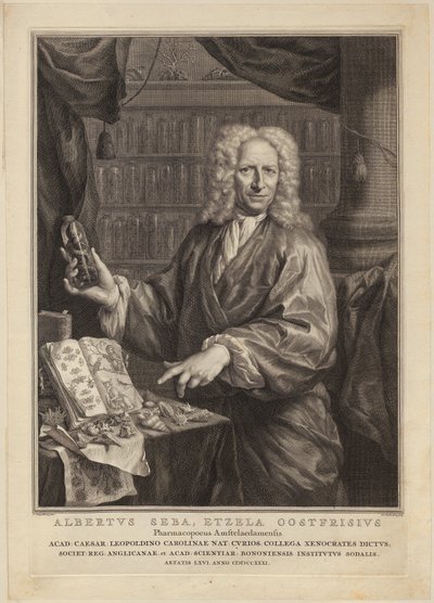  de Jacobus Houbraken