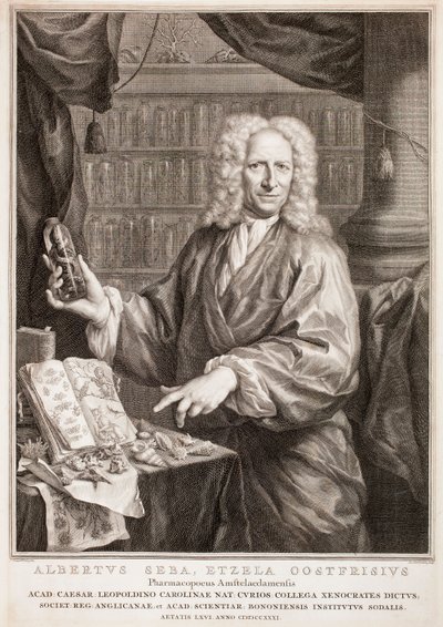  de Jacobus Houbraken
