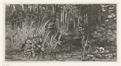 Bosbeekje de Jacobus Ludovicus Cornet