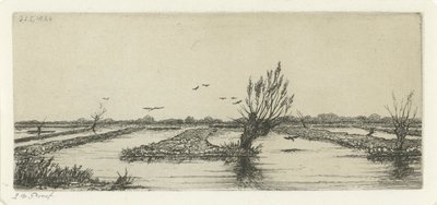 pantano de turba de Jacobus Ludovicus Cornet