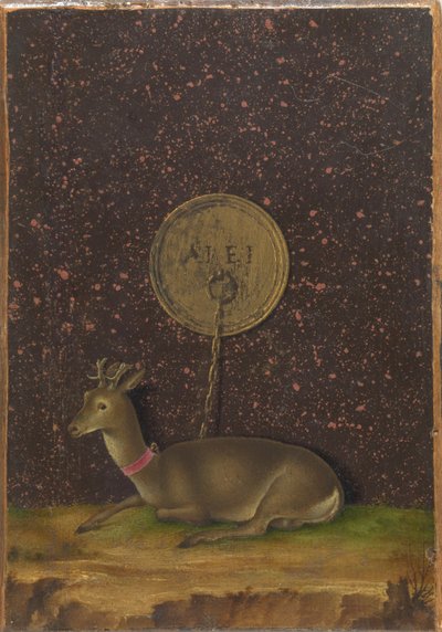Retrato de Alvise Contarini(); (verso) Un corzo atado de Jacometto Veneziano