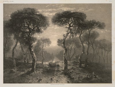 Obras de A. Calame, nº 13: Bosque de Sierre en Valais de Jacomme and Cie. R. de Lancry, 12, Paris