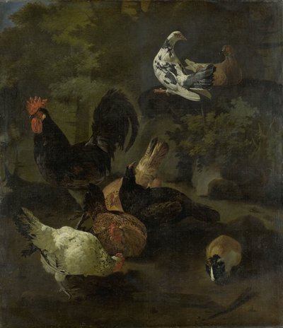 Un gallo, gallinas, palomas y una marmota de Jacomo Victors
