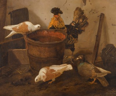 Tres palomas y un gallo junto a un cubo de agua de Jacomo Victors
