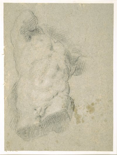 Dibujo de un torso masculino de Jacopo Bassano