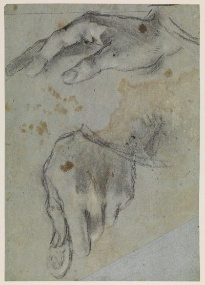 Estudios de manos, recto, siglo XVI de Jacopo Bassano