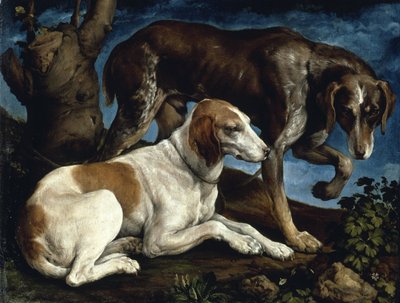 Dos perros de caza, 1548-1549 de Jacopo Bassano il vecchio