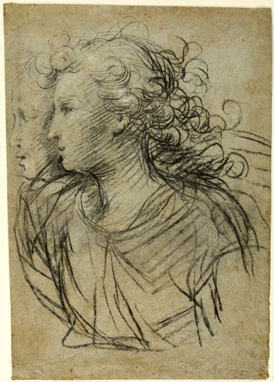 Vista de medio cuerpo de una mujer de perfil a la izquierda (recto); Vista de medio cuerpo de una figura en perfil de tres cuartos (verso) de Jacopo Confortini