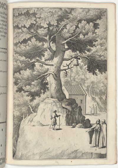 Árbol de haya con la campana (Faggio della campana) [lámina X] de Jacopo Ligozzi