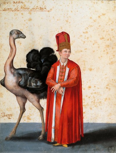 Esclavo con avestruz, dibujo de Jacopo Ligozzi (1547-1627) de Jacopo Ligozzi