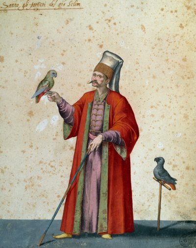 Ujier del gran Selim con loros, dibujo de Jacopo Ligozzi (1547-1627) de Jacopo Ligozzi