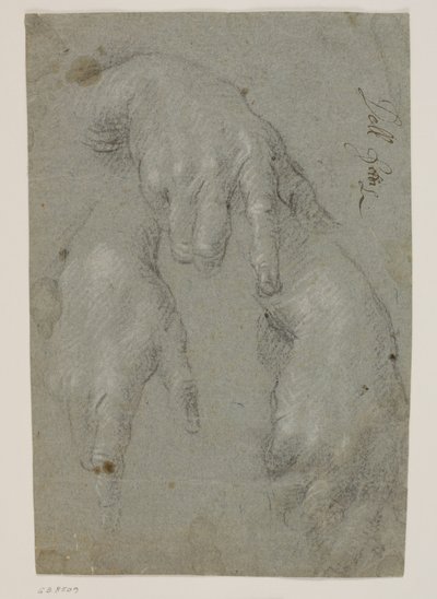 Tres estudios de una mano derecha de Jacopo Palma