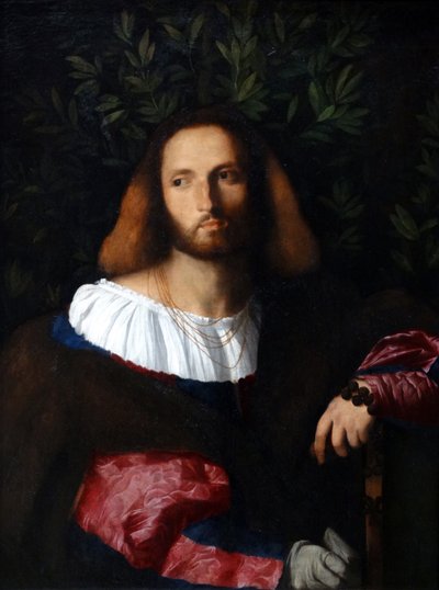 Imagen desconocida de Jacopo Palma