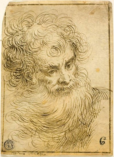 Cabeza de Anciano Barbudo (recto); Boceto Decorativo de Flor y Hojas (verso) de Jacopo Palma il Giovane