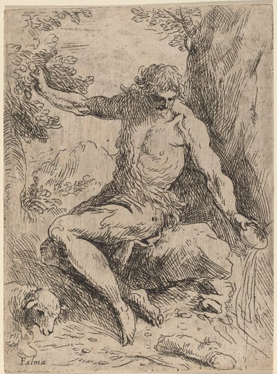 San Juan Bautista de Jacopo Palma il Giovane