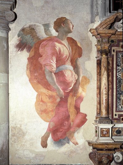 Anunciación. Detalle del Ángel - Fresco de Jacopo Pontormo