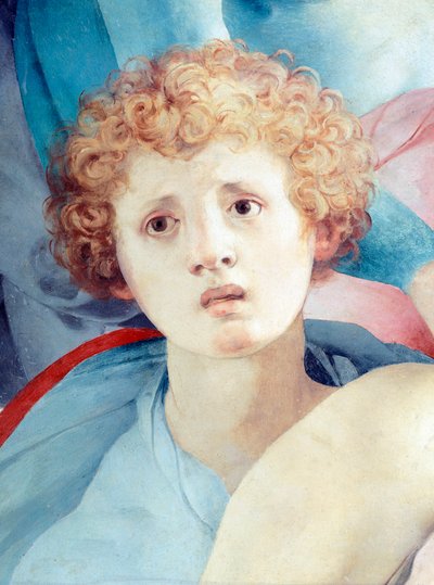Rostro de joven, detalle de La Deposición, por Jacopo da Pontormo de Jacopo Pontormo