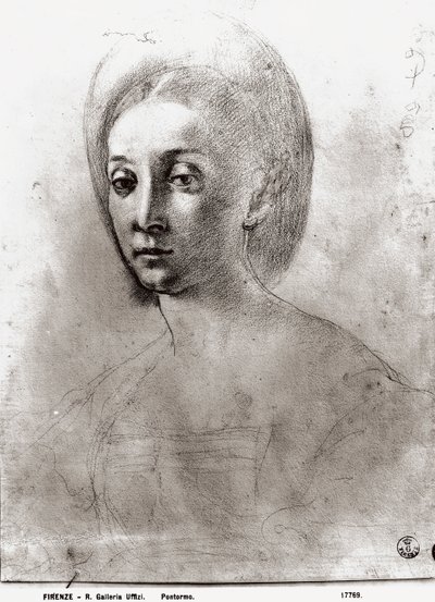 Cabeza de una mujer de Jacopo Pontormo