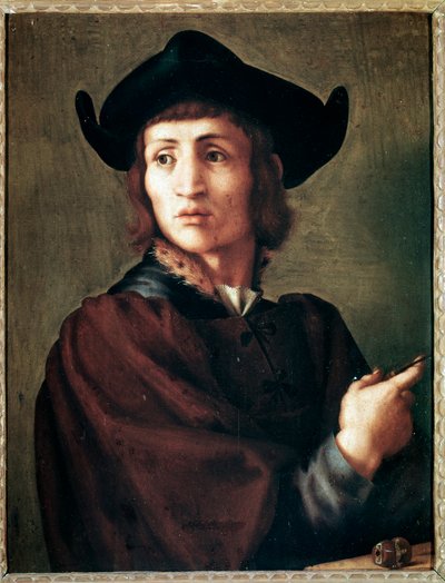 Retrato de un joyero de Jacopo Pontormo