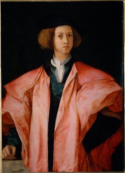 Retrato de un joven probablemente Alessandro de Médici de Jacopo Pontormo