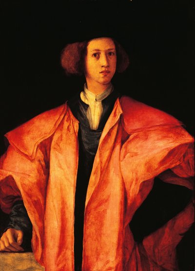 Retrato de joven, tal vez Amerigo Antinori, hacia 1530, por Jacopo Carucci, conocido como Pontormo (1494-1557), óleo sobre tabla de Jacopo Pontormo