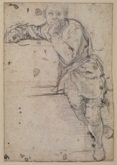 Joven sentado de Jacopo Pontormo