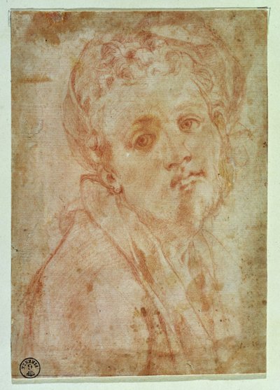 Autorretrato de Jacopo Pontormo